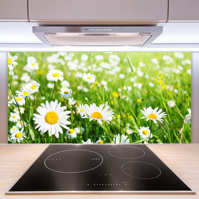 Kitchen Splashback Daisy floral white yellow green