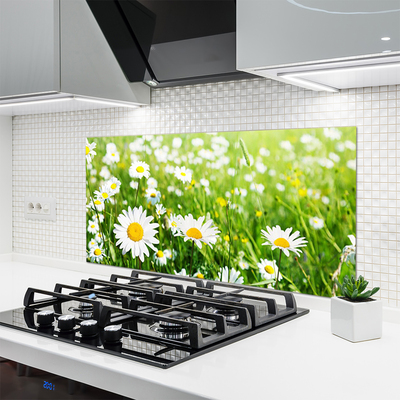 Kitchen Splashback Daisy floral white yellow green