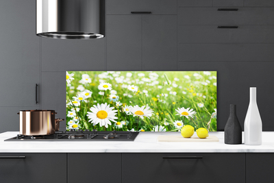 Kitchen Splashback Daisy floral white yellow green