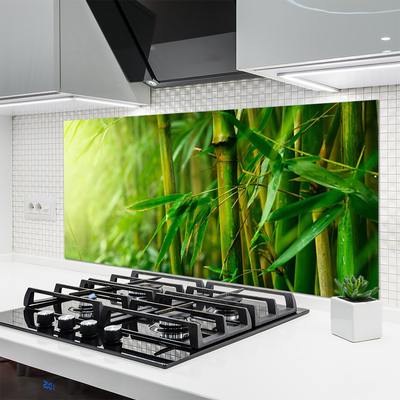 Kitchen Splashback Bamboo stalks floral green