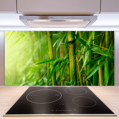 Kitchen Splashback Bamboo stalks floral green