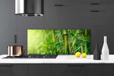 Kitchen Splashback Bamboo stalks floral green