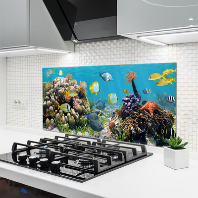 Kitchen Splashback Coral reef nature multi
