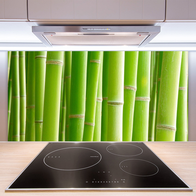 Kitchen Splashback Bamboo stalks floral green