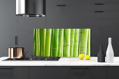 Kitchen Splashback Bamboo stalks floral green