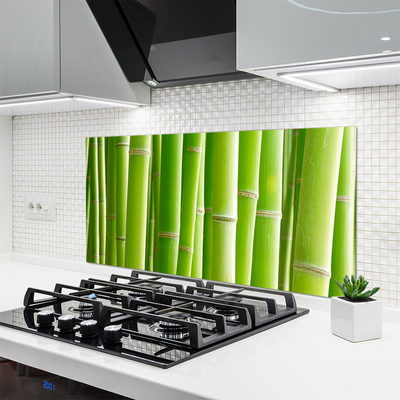 Kitchen Splashback Bamboo stalks floral green