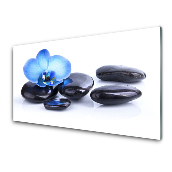 Kitchen Splashback Flower stones art blue black