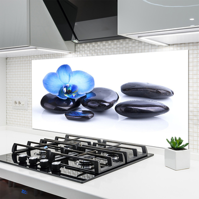 Kitchen Splashback Flower stones art blue black