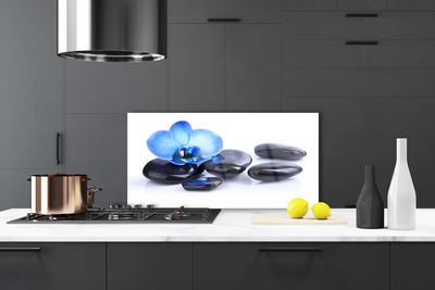 Kitchen Splashback Flower stones art blue black