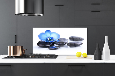 Kitchen Splashback Flower stones art blue black