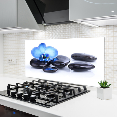 Kitchen Splashback Flower stones art blue black