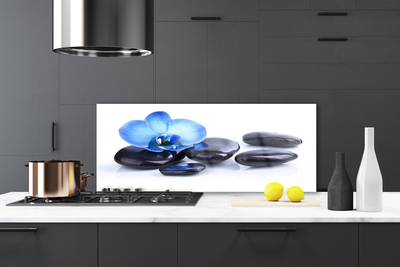 Kitchen Splashback Flower stones art blue black