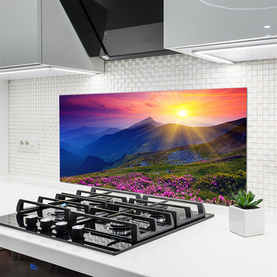 Kitchen Splashback Mountains flower meadow landscape blue pink green yellow