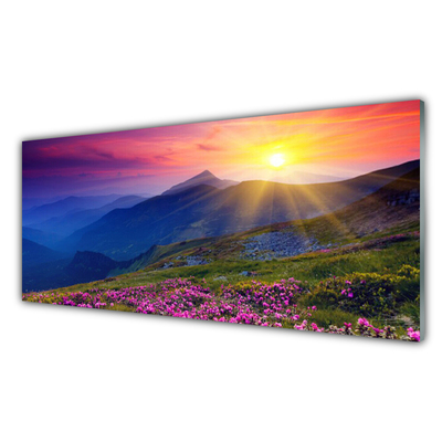 Kitchen Splashback Mountains flower meadow landscape blue pink green yellow