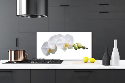 Kitchen Splashback Flowers floral white