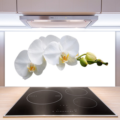 Kitchen Splashback Flowers floral white