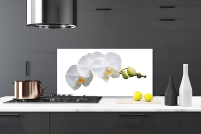 Kitchen Splashback Flowers floral white