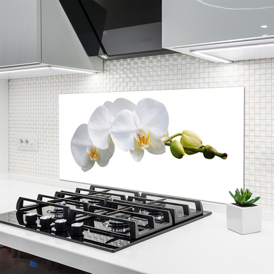 Kitchen Splashback Flowers floral white