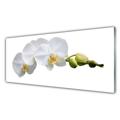 Kitchen Splashback Flowers floral white