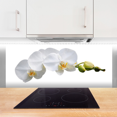 Kitchen Splashback Flowers floral white