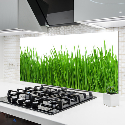 Kitchen Splashback Grass nature green