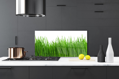 Kitchen Splashback Grass nature green