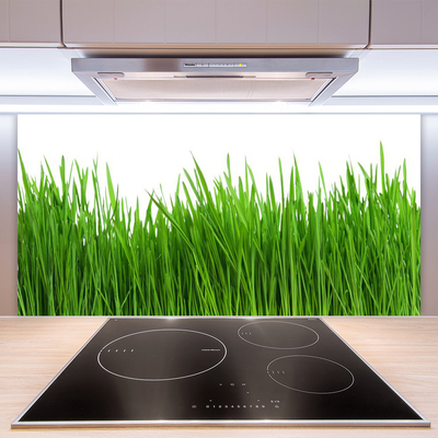 Kitchen Splashback Grass nature green