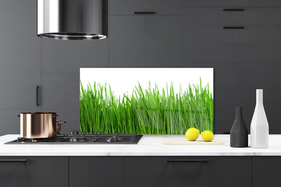 Kitchen Splashback Grass nature green