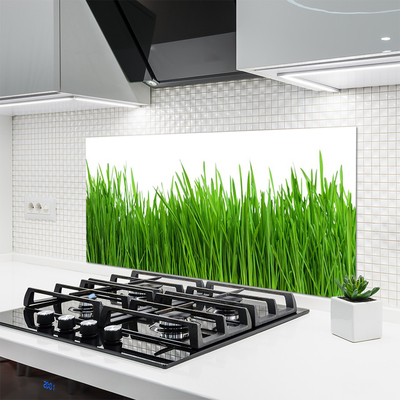 Kitchen Splashback Grass nature green