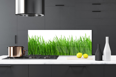 Kitchen Splashback Grass nature green