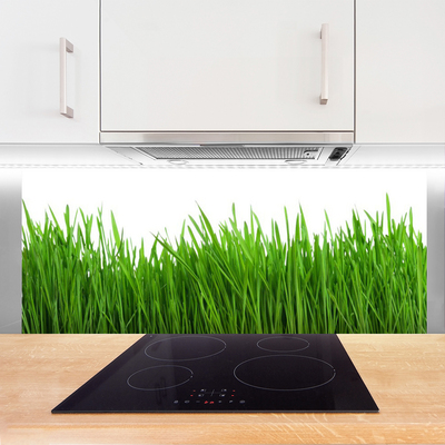 Kitchen Splashback Grass nature green