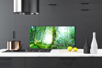 Kitchen Splashback Forest nature green