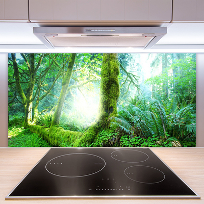 Kitchen Splashback Forest nature green