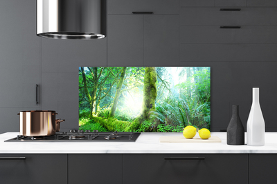 Kitchen Splashback Forest nature green