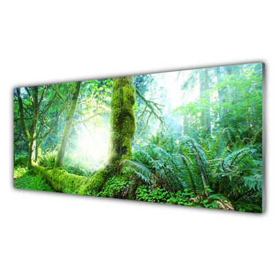 Kitchen Splashback Forest nature green