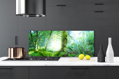 Kitchen Splashback Forest nature green