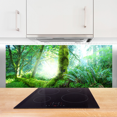 Kitchen Splashback Forest nature green