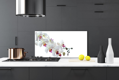 Kitchen Splashback Flowers floral white