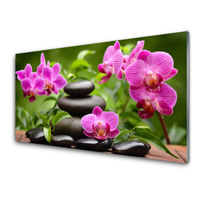 Kitchen Splashback Flower stones art pink black