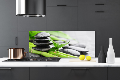 Kitchen Splashback Bamboo tube stones floral green black