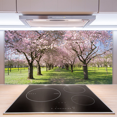 Kitchen Splashback Footpath trees nature brown green pink