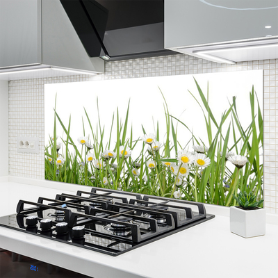 Kitchen Splashback Grass daisies nature green white yellow