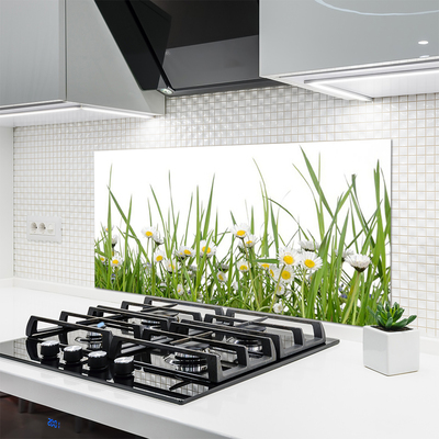 Kitchen Splashback Grass daisies nature green white yellow