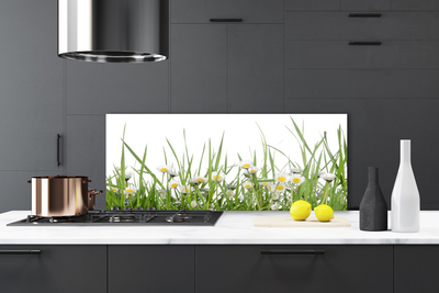 Kitchen Splashback Grass daisies nature green white yellow