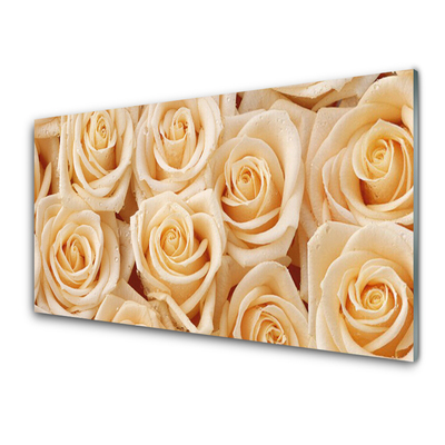 Kitchen Splashback Roses floral yellow