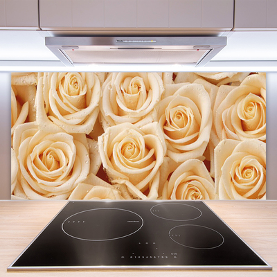 Kitchen Splashback Roses floral yellow