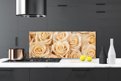 Kitchen Splashback Roses floral yellow