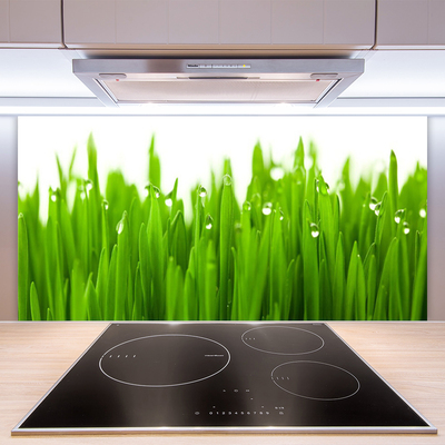 Kitchen Splashback Grass nature green