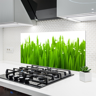 Kitchen Splashback Grass nature green