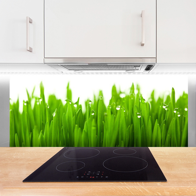 Kitchen Splashback Grass nature green